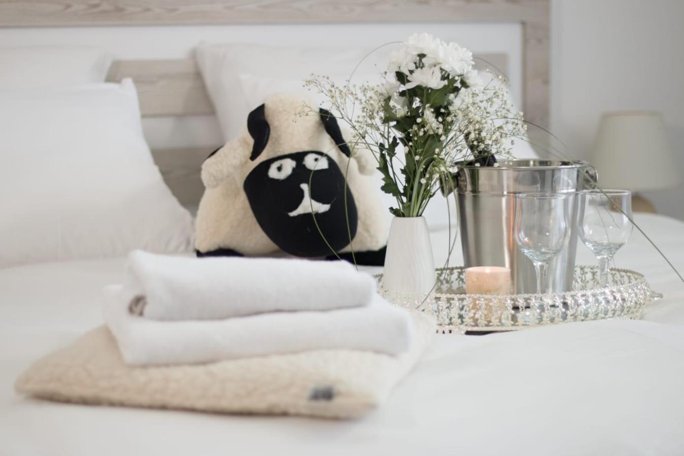 Aparthotel "Queen Zina" ヴラシチ エクステリア 写真